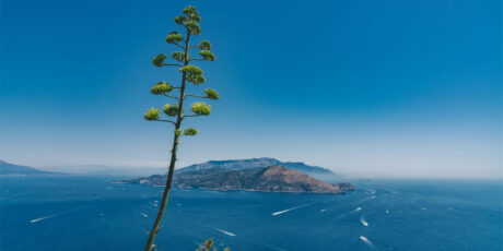Capri, Ischia ou Procida, laquelle choisir?